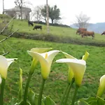 公寓 Rurales Casa El Caminero