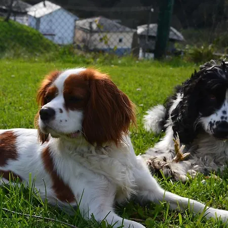 Rurales Casa El Caminero *