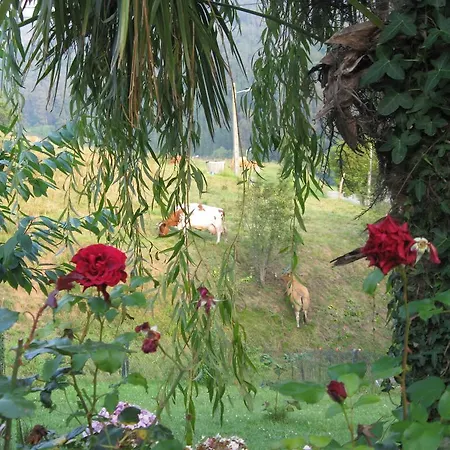 Rurales Casa El Caminero Merás